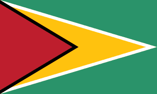 Flag of Guyana